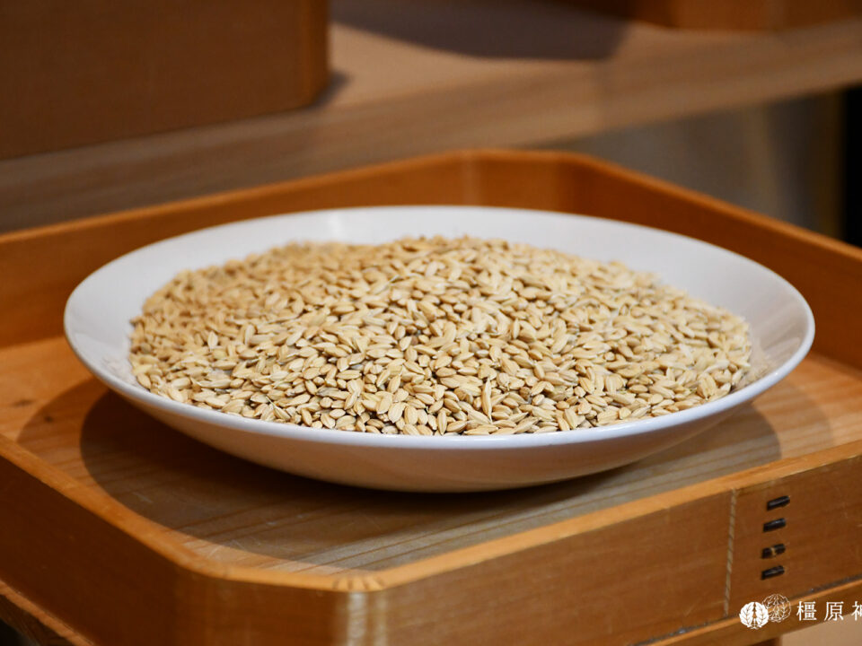 下種奉告祭（4/21）